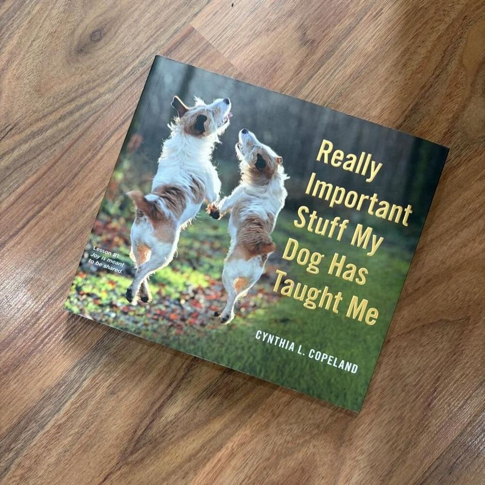 Really Important Stuff My Dog Has Taught Me by Cynthia L. Copeland